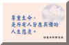 285.jpg (14487 �Ӧ줸��)