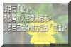 334.jpg (19716 �Ӧ줸��)